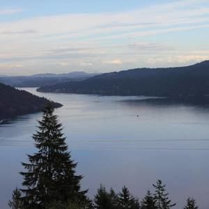 Meet your Posher, Jerry